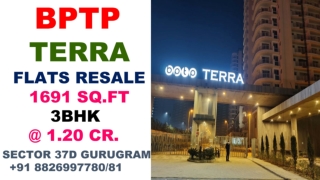 Luxury Apartments 1691 Sq.ft 3 BHK Resale in BPTP TERRA Sector 37D Gurgaon