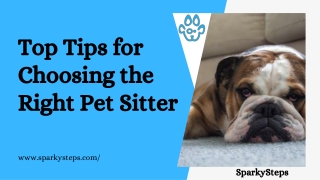 Top Tips for Choosing the Right Pet Sitter