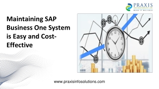 Maintaining SAP Business One System is Easy and Cost-Effective