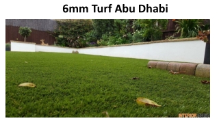 6mm Turf Abu Dhabi