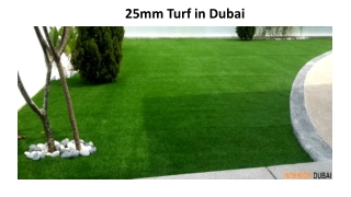 25mm Turf Dubai