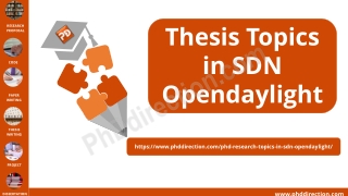 Thesis Topics in SDN Opendaylight