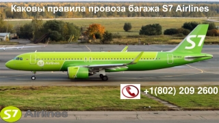 Каковы правила провоза багажа S7 Airlines |  1(802) 209 2600