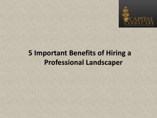 5 Important Benefits of Hiring a Professional Landscaper