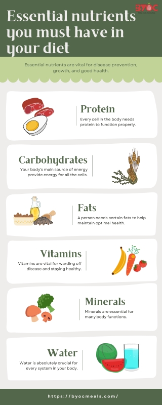 Essential Nutrients You Must Have In Your Diet For Healthy Life