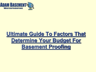 Ultimate Guide To Factors That Determine Your Budget For Basement Proofing