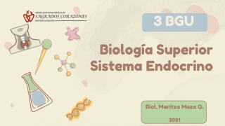 SISTEMA ENDÓCRINO