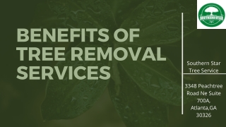 BENEFITS OF TREE REMOVAL SERVICES