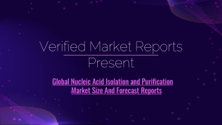 Nucleic Acid Isolation and Purification Market Size And Forecast