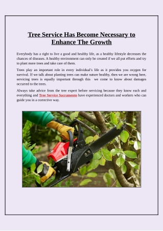 Why are Tree Services Essential For Enhancing Trees Growth?