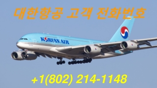 대한항공 고객 전화번호 _ 1(802) 214–1148_ 서비스 계획