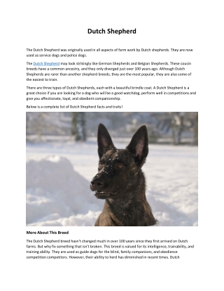 Dutch Shepherd