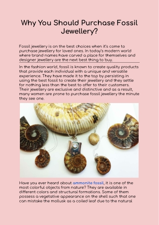 Why You Should Purchase Fossil Jewellery