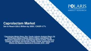Caprolactam Market Assessment & Opportunity Forecast Till 2026