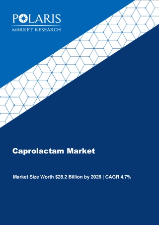Caprolactam Market Evolving Technology And Growth Outlook 2020 To 2026