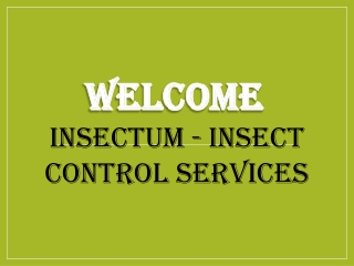 Best Emergency insect control in Ipswich