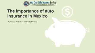 The Importance of auto insurance in Mexico