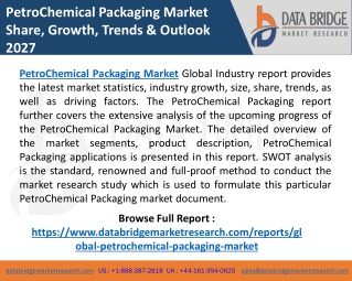 PetroChemical Packaging Market: Discover the Latest Trends, Size, Share, Future
