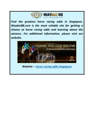 Horse Racing Odds Singapore  Waybet88.com