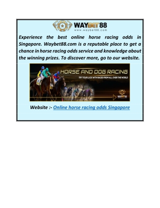 Online Horse Racing Odds Singapore  Waybet88.com