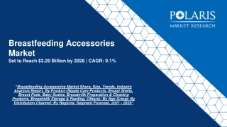 Breastfeeding Accessories Market