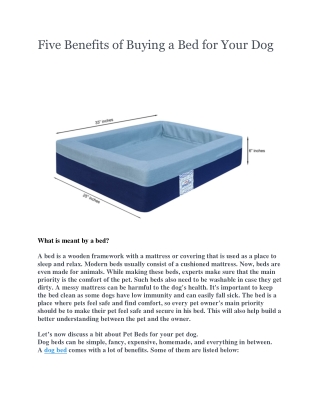 Five Benefits of Buying a Bed for Your Dog
