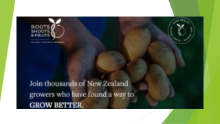 Mycorrhizae NZ | Mycorrhizal Fungi NZ | RSF
