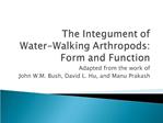 The Integument of Water-Walking Arthropods: Form and Function