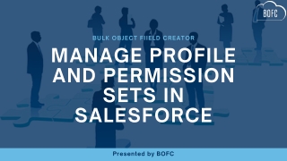 Manage profile and permission sets in Salesforce using BOFC