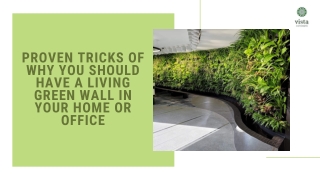 Proven Tricks of Why you Should Have a Living Green Wall in Your Home or Office