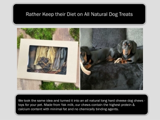 Rather Keep their Diet on All Natural Dog Treats