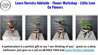 Flowers Adelaide - Wedding Florist Adelaide - Little Love Co Flowers