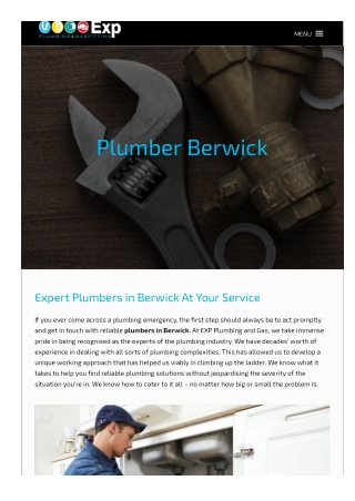 Plumber berwick
