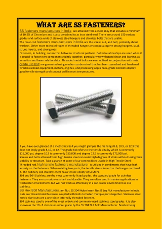 What are SS fasteners_