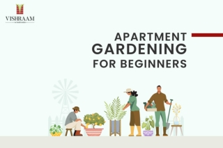 Apartment Gardening for Beginners | Gardening in Flats
