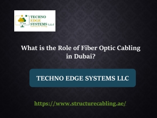 What is the Role of Fiber Optic Cabling in Dubai?