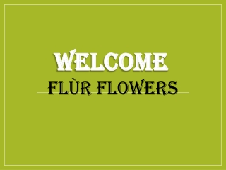 Best Flower Delivery in Willesden