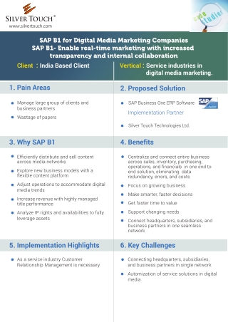 SAP BUSINESS ONE FOR PROFESSIONAL SERVICES