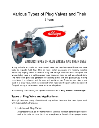 Various Types of Plug Valves and Their Uses