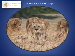 Nairobi to Masai Mara Packages