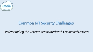 Common IoT Security Challenges