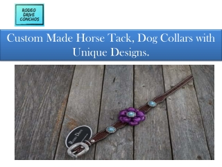 Concho dog collar