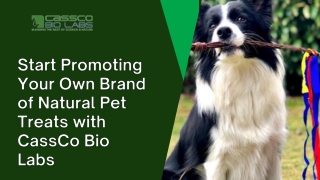 Start Promoting Your Own Brand of Natural Pet Treats with CassCo Bio Labs