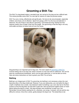 Grooming a Shih Tzu