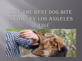 Hire the best dog bite attorney Los Angeles online