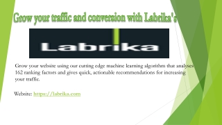 Grow your traffic and conversion with Labrika's