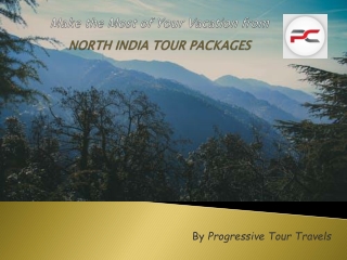 Make The Most Of Your Vacation From North India Tour Packages