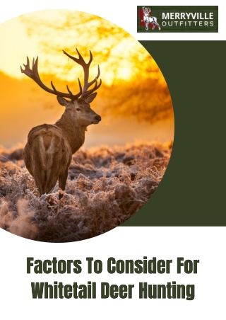Factors To Consider For Whitetail Deer Hunting