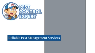 Reliable Pest Management Services - Pest Control Expert