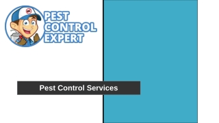 Pest Control Services - Pest Control Expert